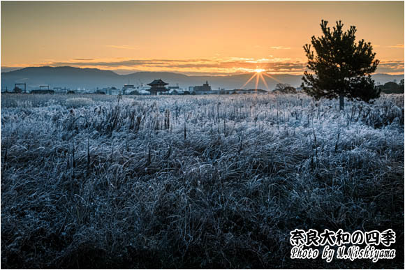 奈良大和の四季 2024年1月新作