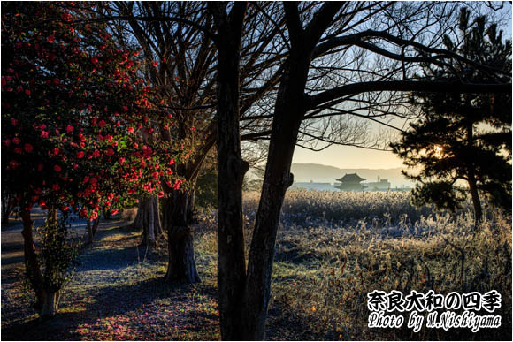 奈良大和の四季 2024年1月新作
