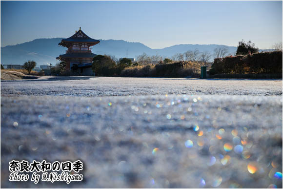 奈良大和の四季 2024年1月新作