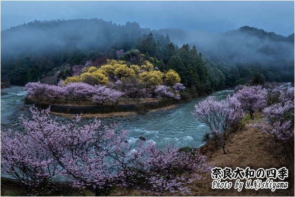 奈良大和の四季 2024年3月新作