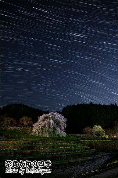 奈良大和の四季 2024年4月新作
