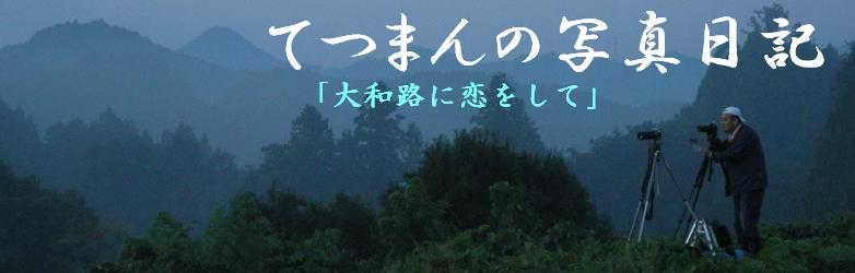 奈良大和の四季 リンク集