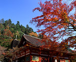 談山神社の紅葉